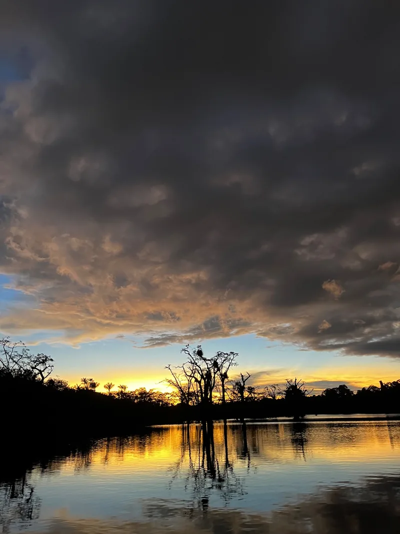 Orchids for Peace: Amazon-Andean foothills