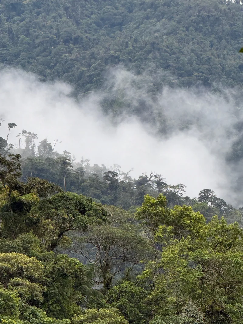Alma del Bosque & Jardín