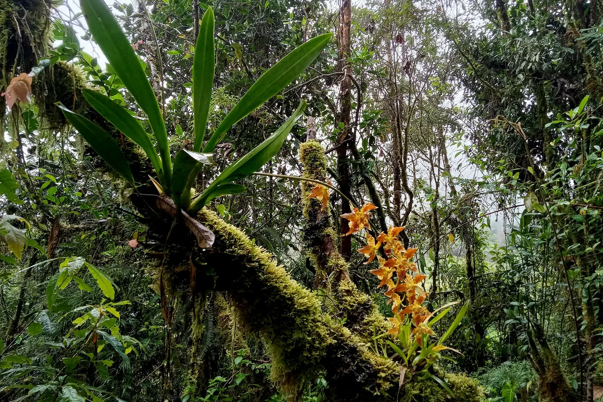 Montezuma & Departure